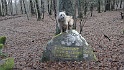 Ritterstein Nr. 136-4 Prinzregent Luitpold Linde 12. März 1911